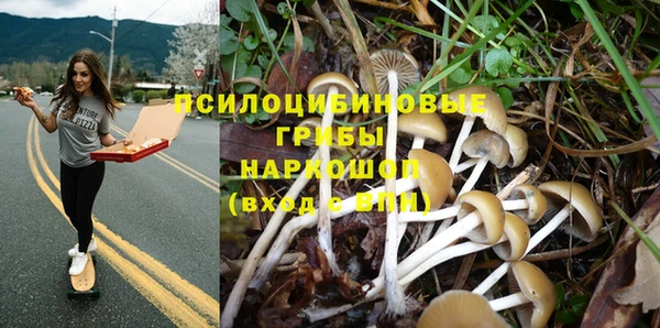 мяу мяу мука Бугульма