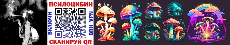 Псилоцибиновые грибы Cubensis  магазин продажи наркотиков  OMG ссылки  Кашира 
